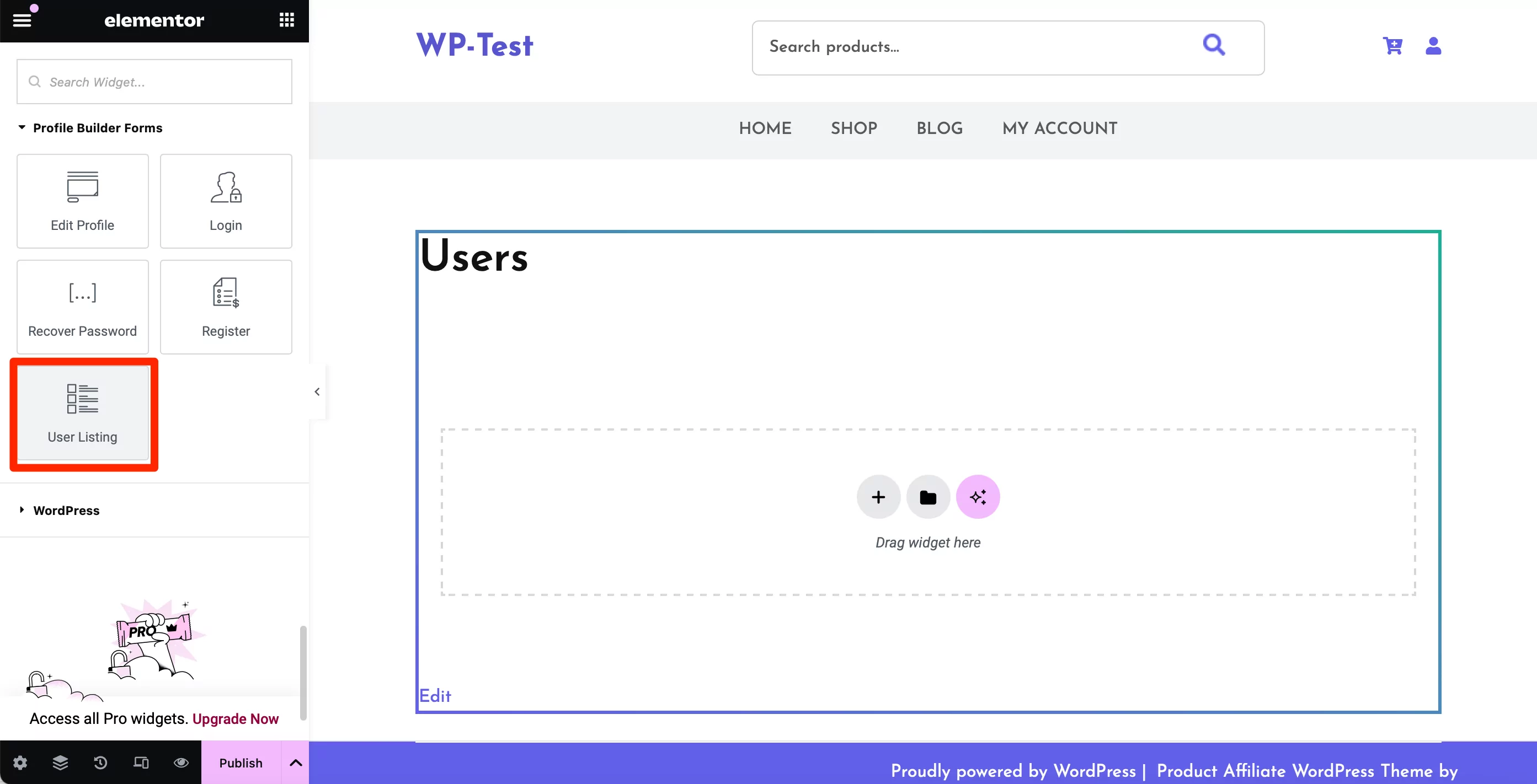 User Listing Widget