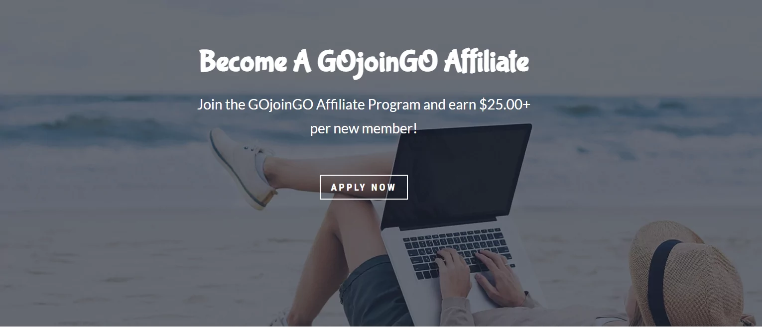 Affiliate program example