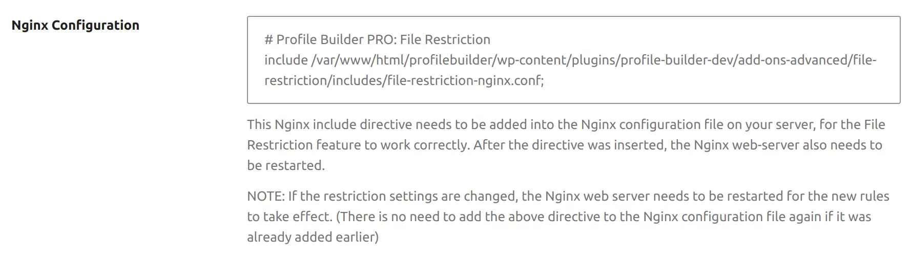 File Restriction Nginx Configuration setting