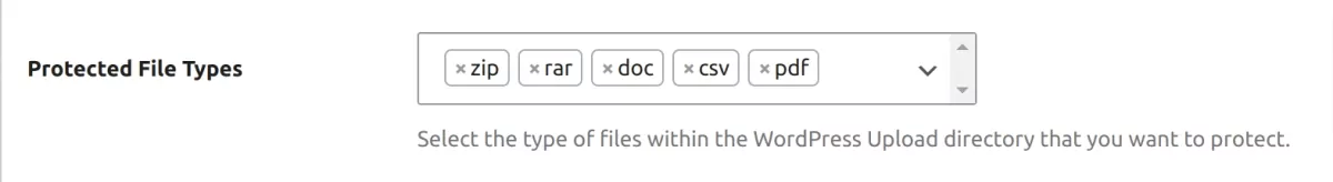 File Restriction Protect File Types setting 