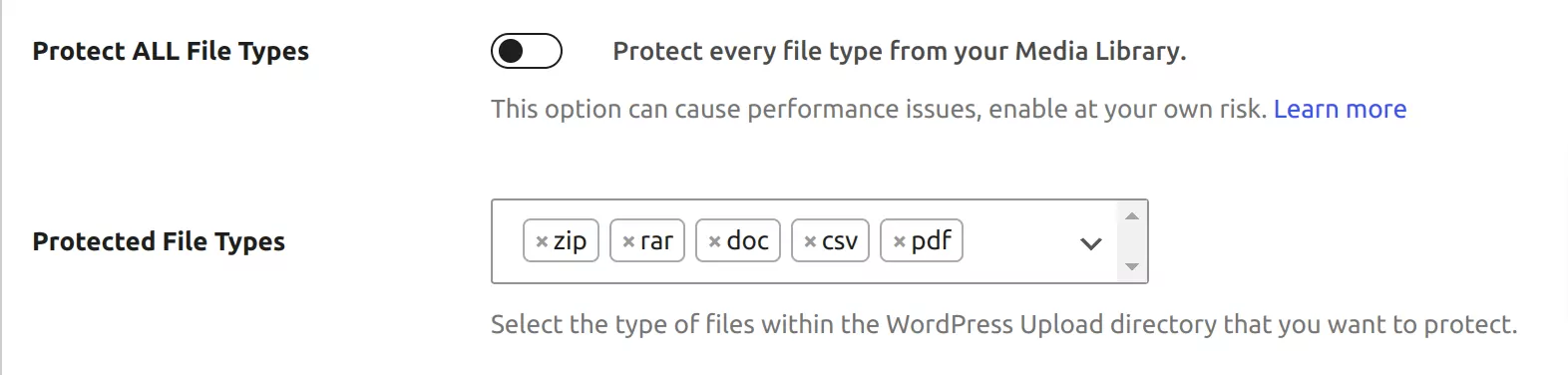 File Restriction Protect All File Types setting disabled