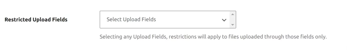 File Restriction Addon Restrict Upload Fields Settings