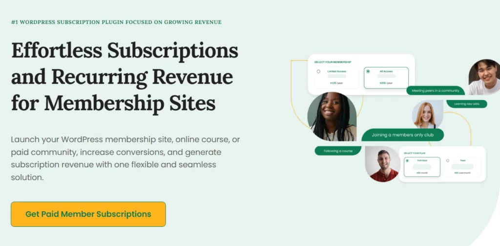 Paid Member Subscriptions plugin