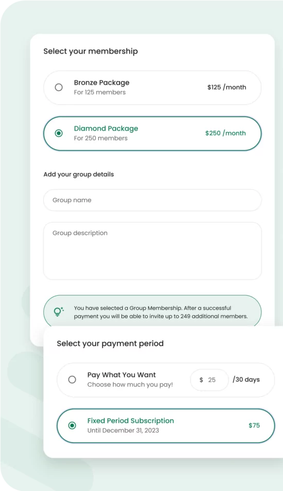 Paid Member Subscriptions plugin interface