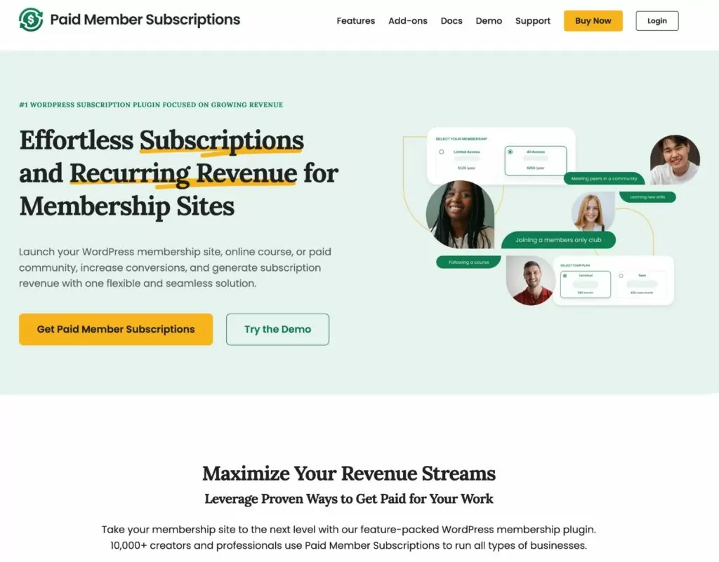 Paid Member Subscriptions