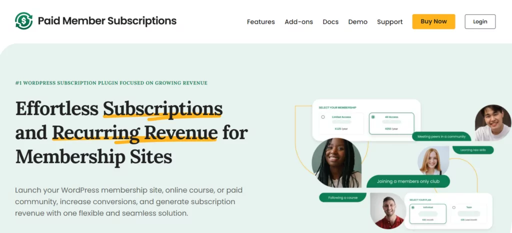 Paid Member Subscriptions is one of the best WordPress subscription plugins