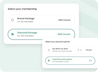 Paid Member Subscriptions plugin interface