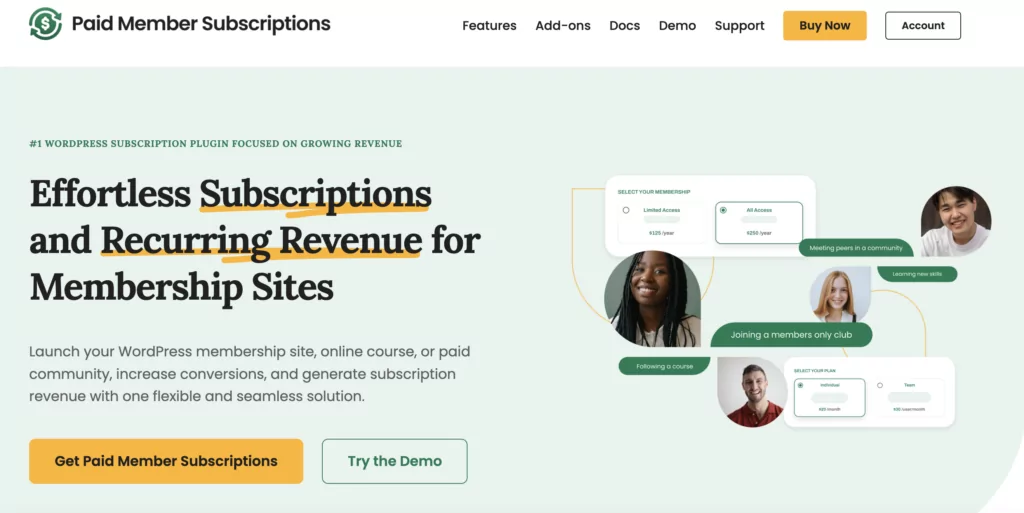 How to monetize website with Paid Member Subscriptions