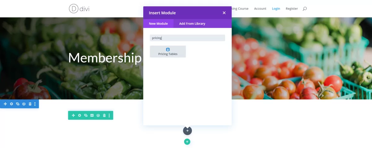 Pricing table module in Divi Builder
