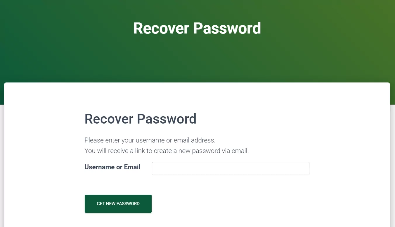 Frontend reset password page