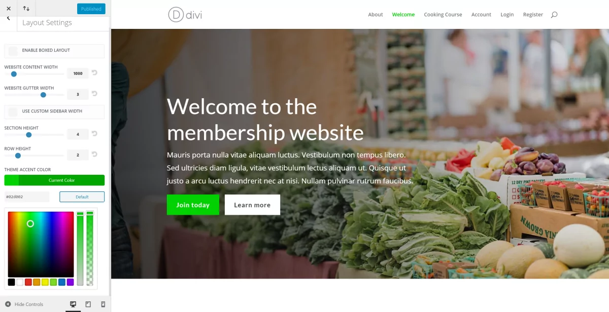 Divi membership site theme accent color